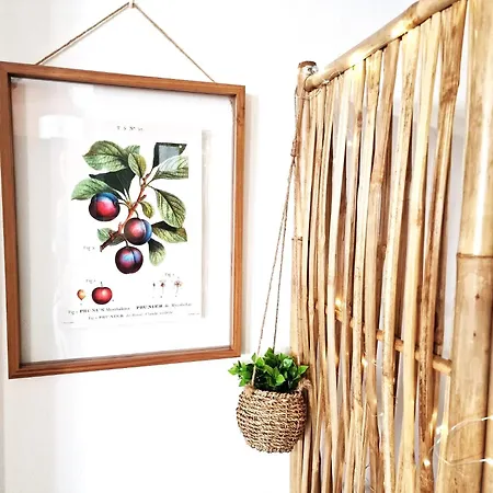 Buganvilia - Near Riverside 포티마오