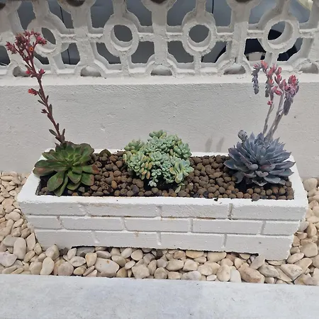 아파트 Buganvilia - Near Riverside 포티마오