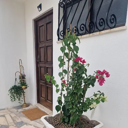 아파트 Buganvilia - Near Riverside *